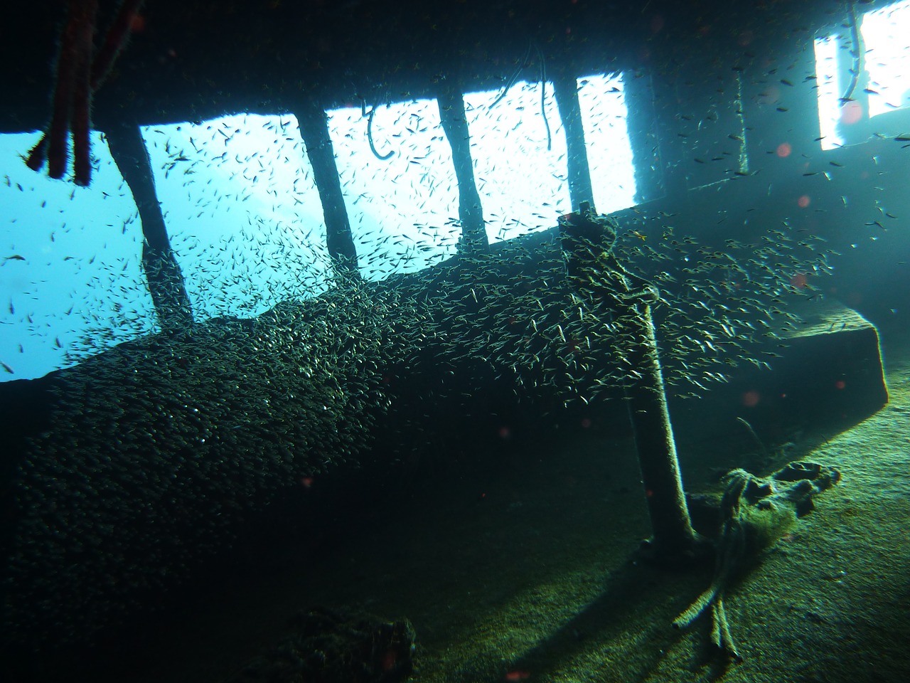 wreck underwater diving free photo