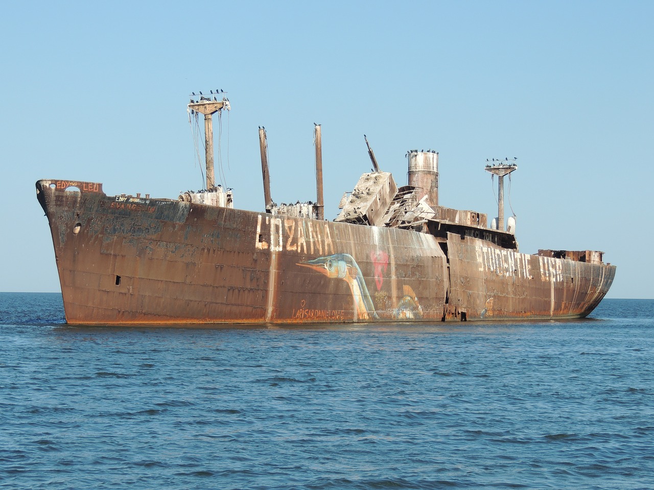 wreck steamer vessel free photo