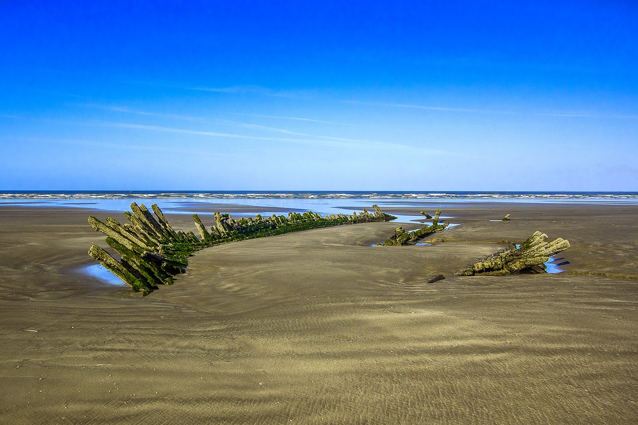 wreck ship beach free photo