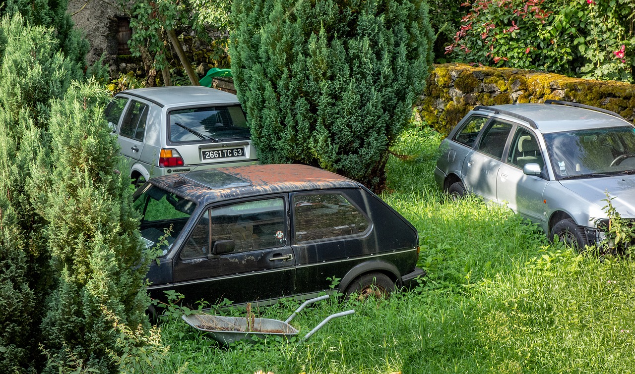 wreck  car  garden free photo