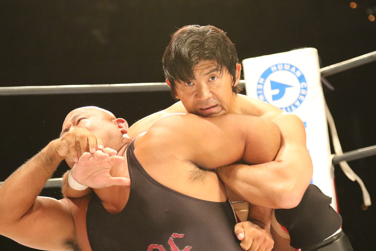 wrestling pro wrestling inoki free photo