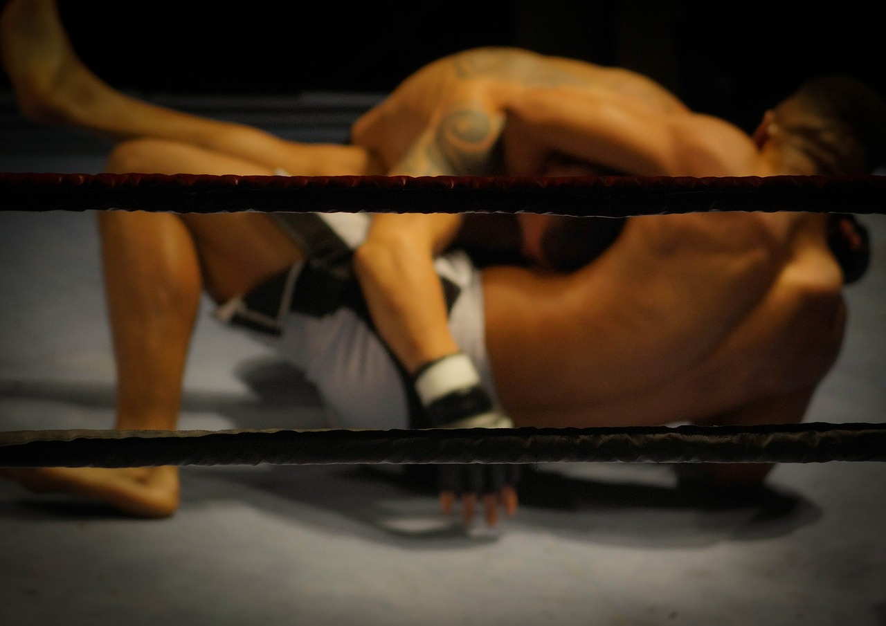 wrestling fighting martial arts free photo