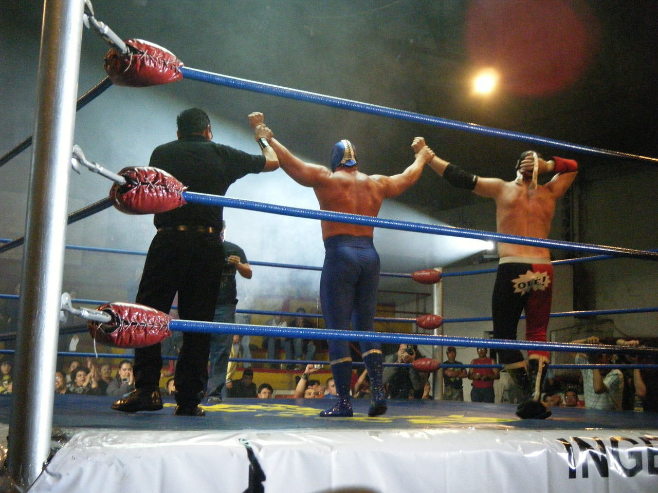 wrestling mexico blue demon free photo
