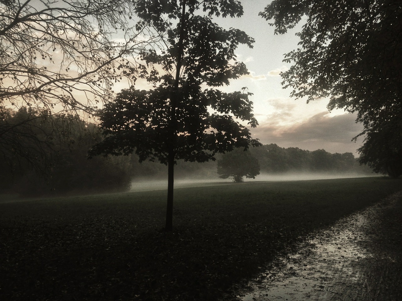 wroclaw fog landscape free photo