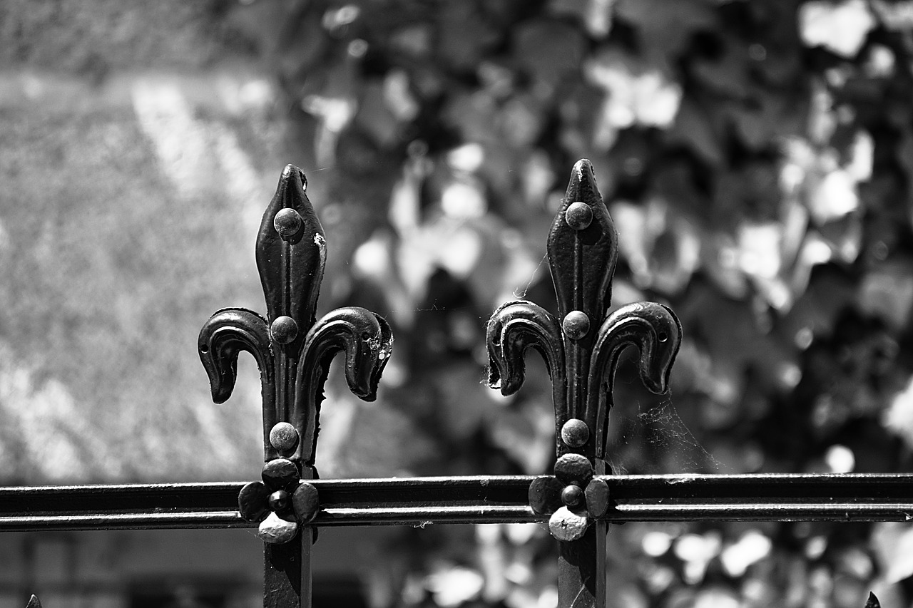 wrought iron fleur de lis metal free photo