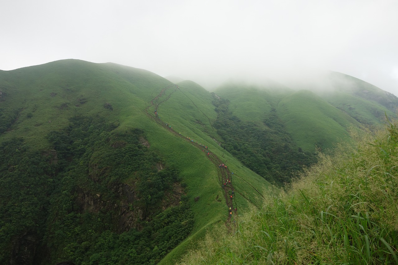 wugongshan cloud vegetation free photo