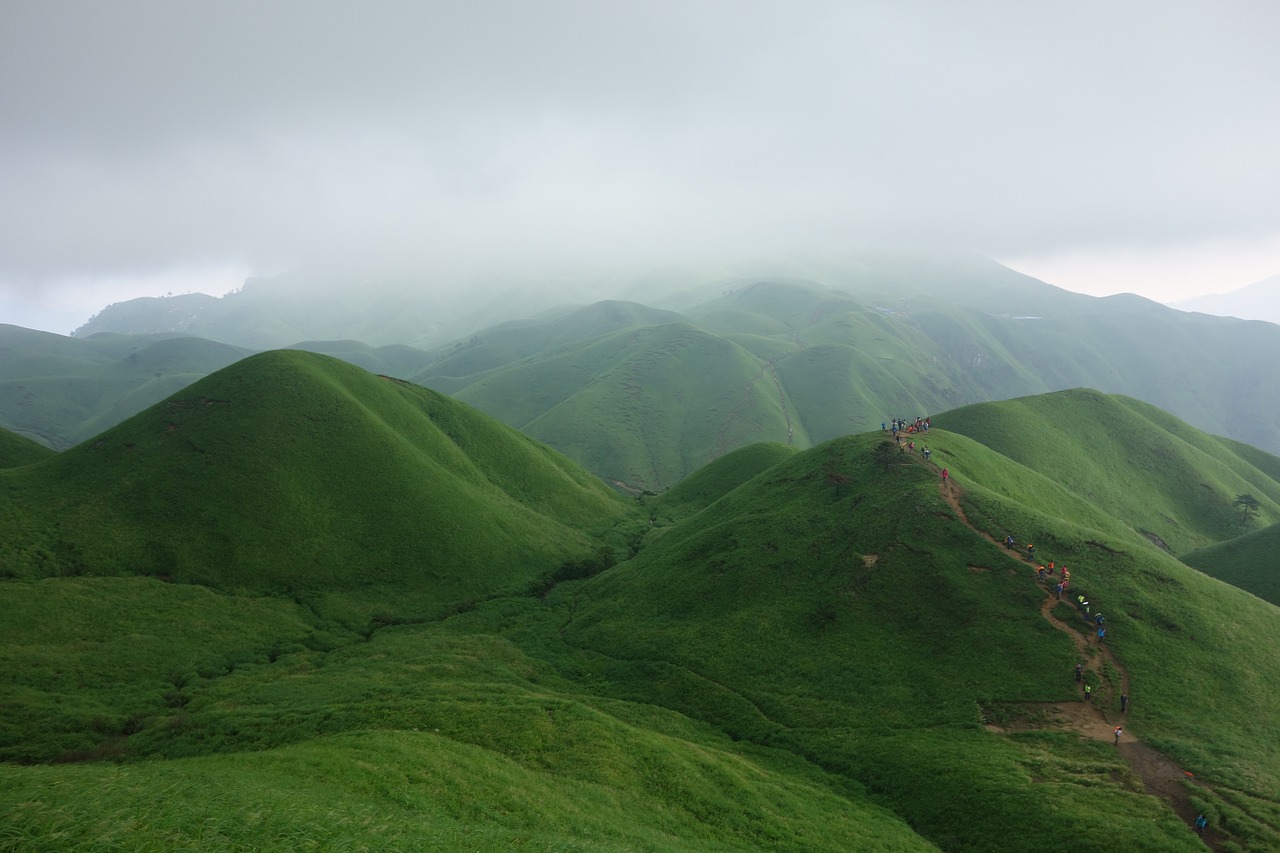 wugongshan cloud incense free photo