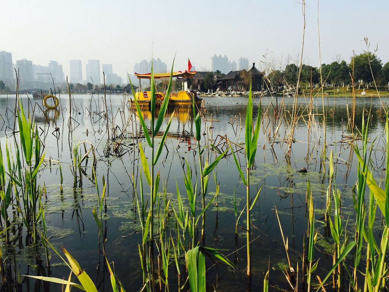 wuhan sand lake park ship free photo