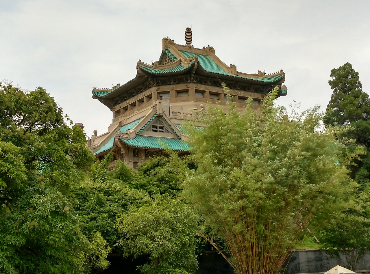 wuhan university cherry top the old library free photo