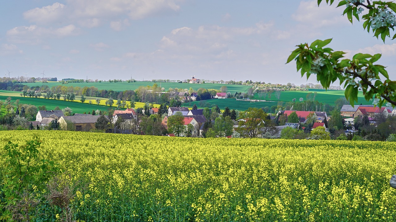 würchwitz nature view free photo