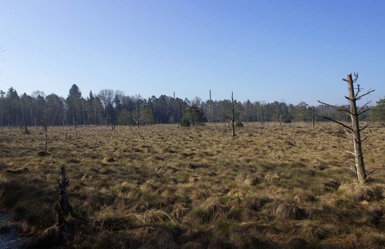 wurzacher ried nature reserve moor free photo