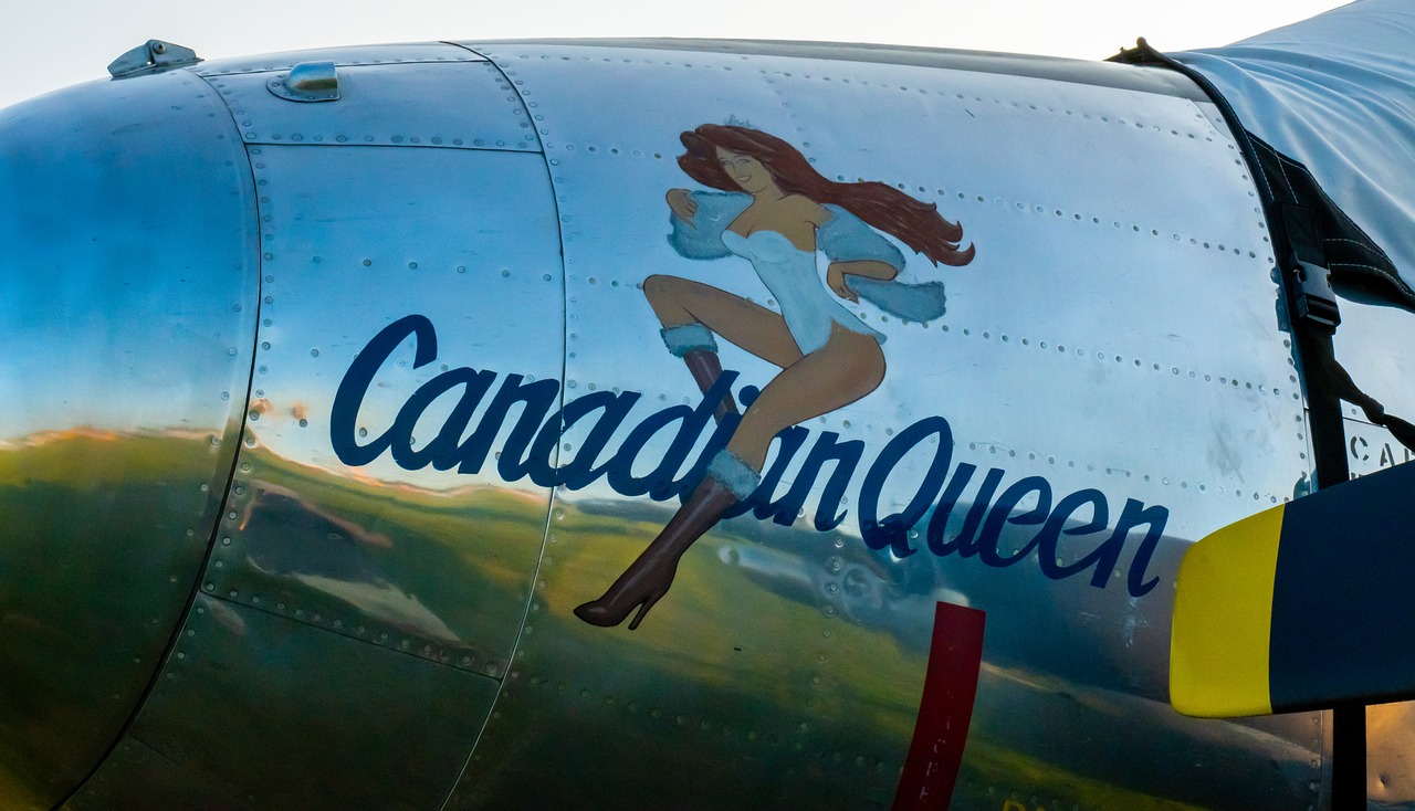 wwii  nose art  aircraft free photo