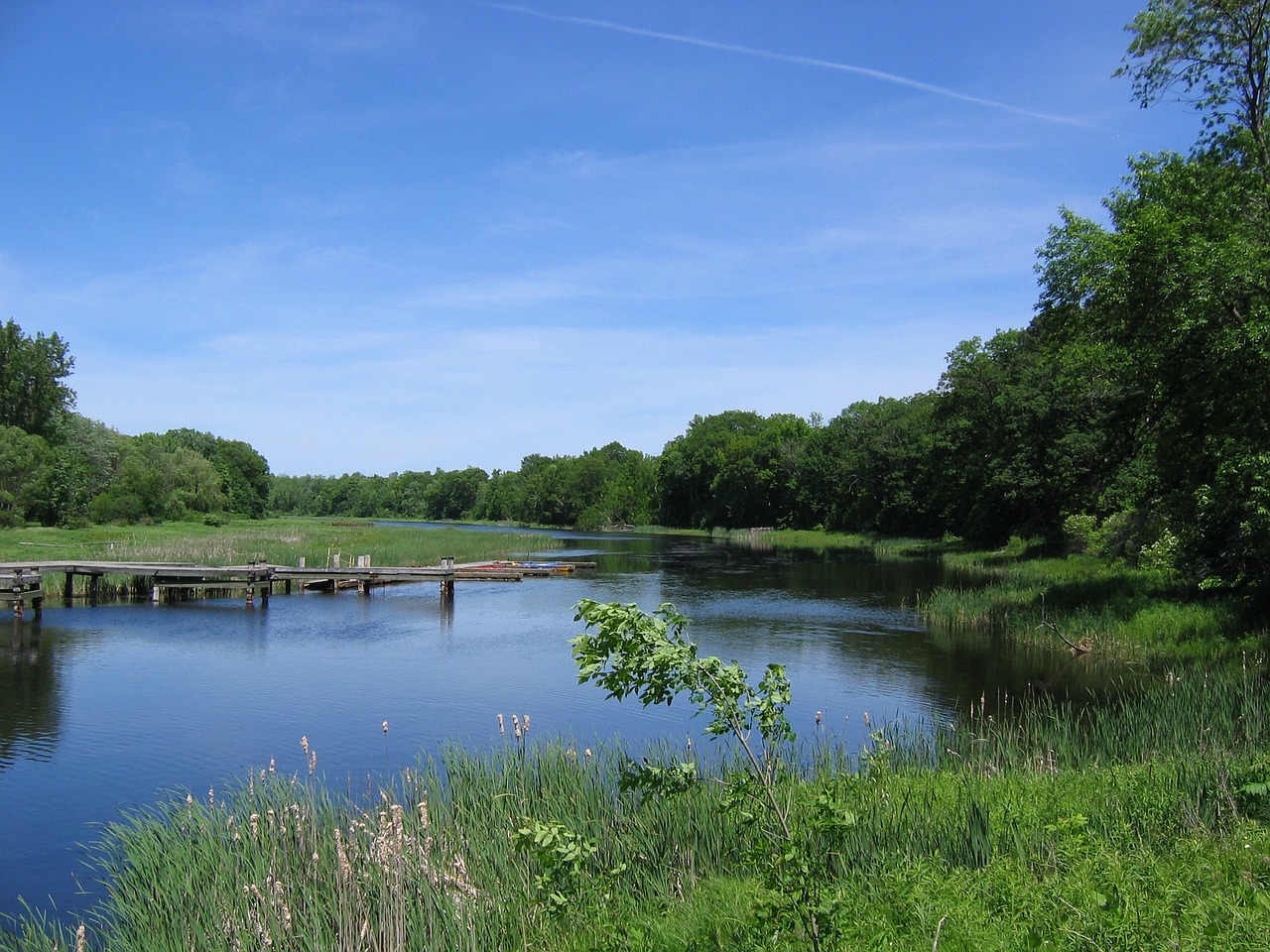 wye river ontario canada free photo