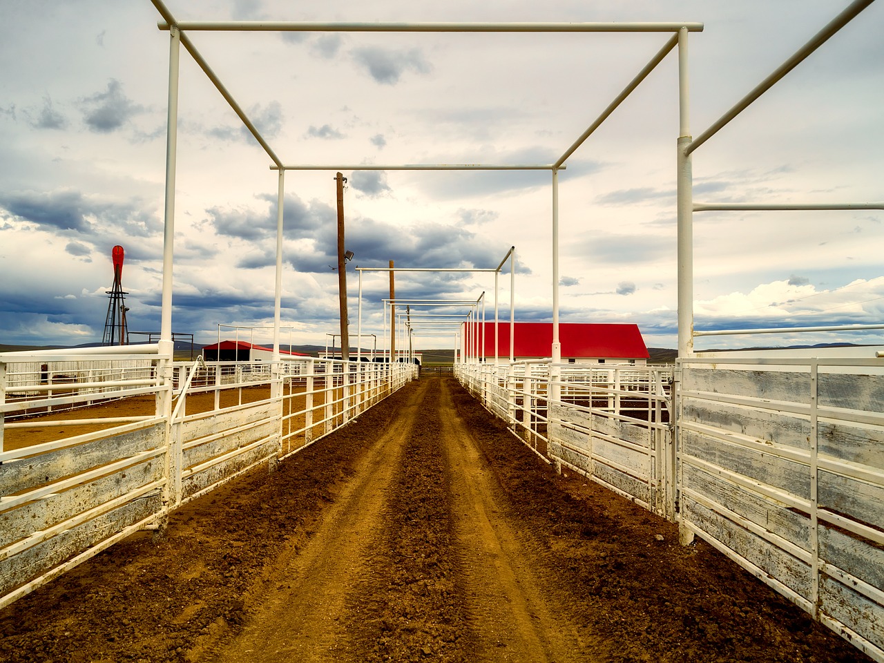 wyoming corrals structure free photo