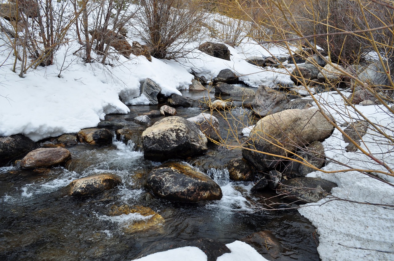 wyoming winter calm free photo