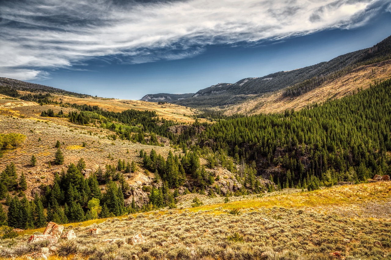 wyoming  america  mountains free photo