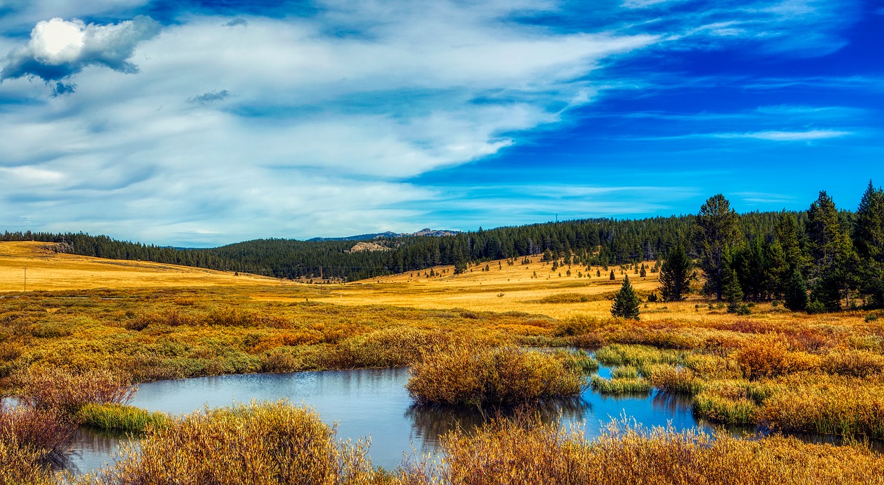 wyoming  america  panorama free photo