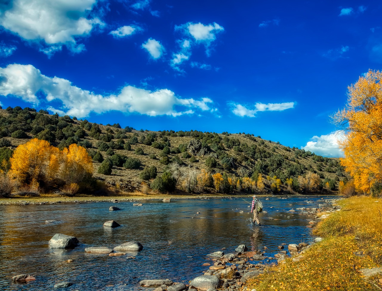 wyoming  fall  autumn free photo