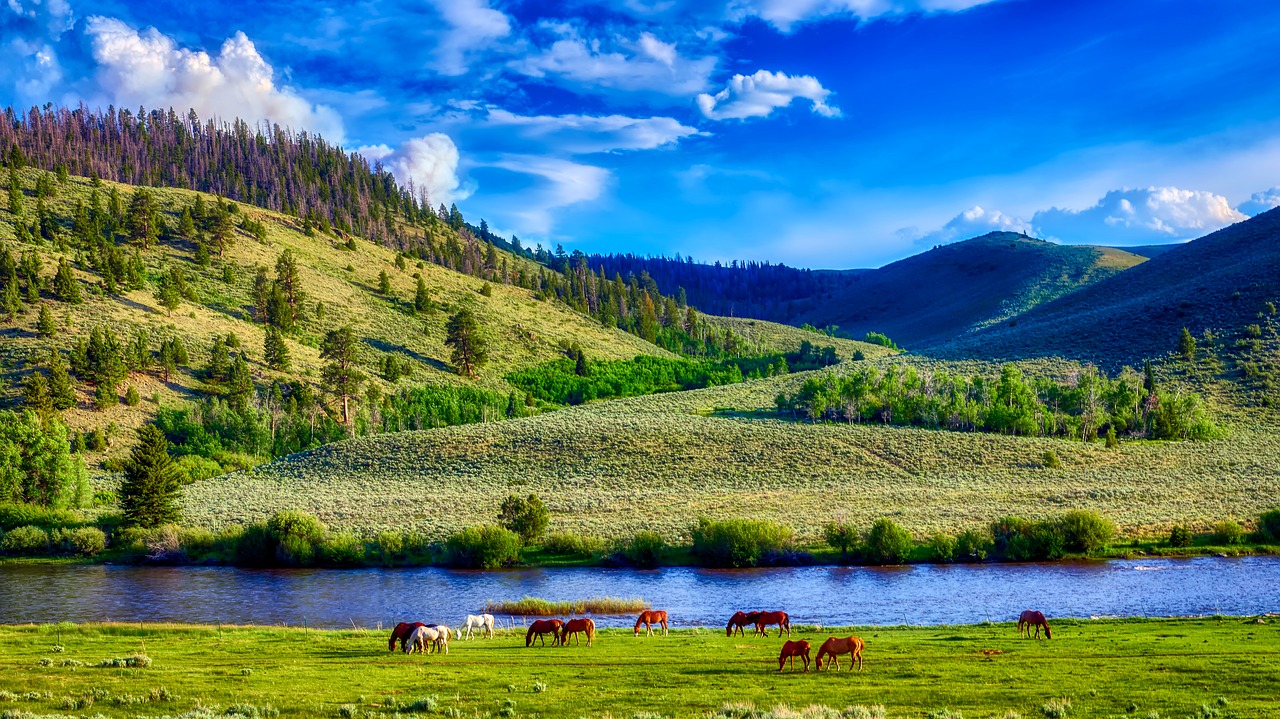 wyoming  america  landscape free photo