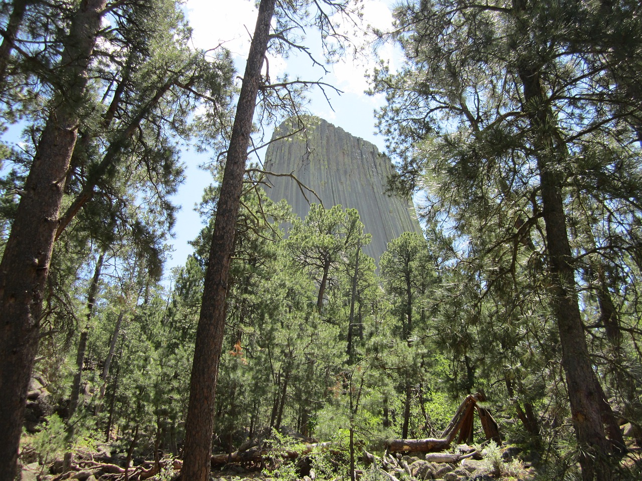 wyoming devil's tower national park free photo