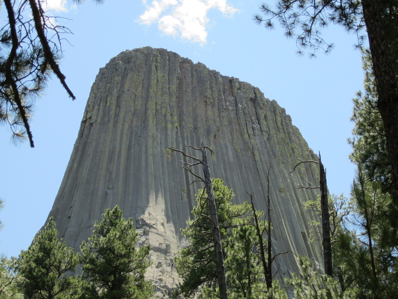 wyoming devil's tower national park free photo