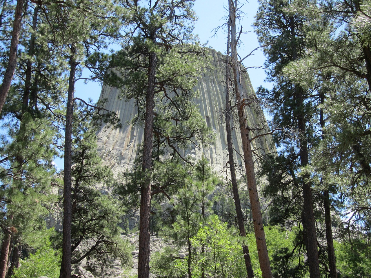 wyoming devil's tower national park free photo