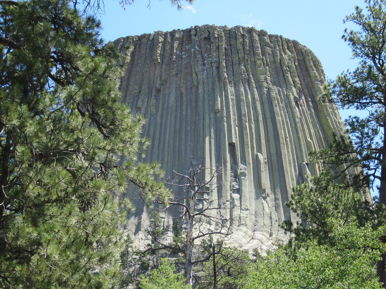 wyoming devil's tower national park free photo