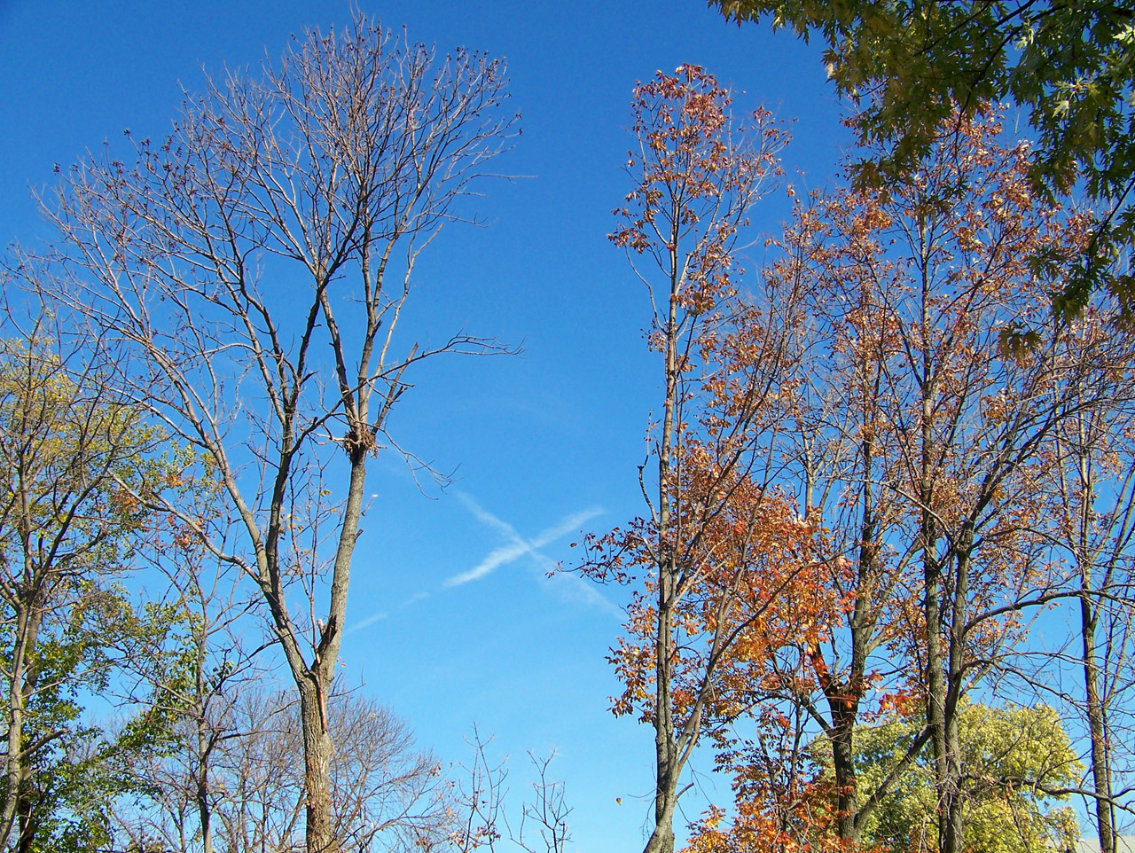 jet vapor trail free photo