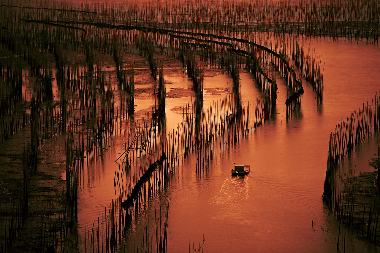 xia pu beach fishing boats free photo