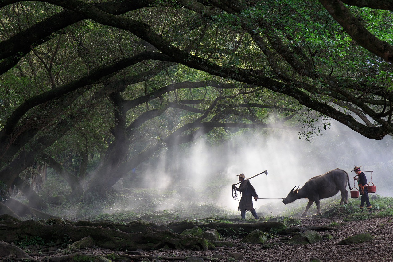 xiapu yang creek landscape free photo