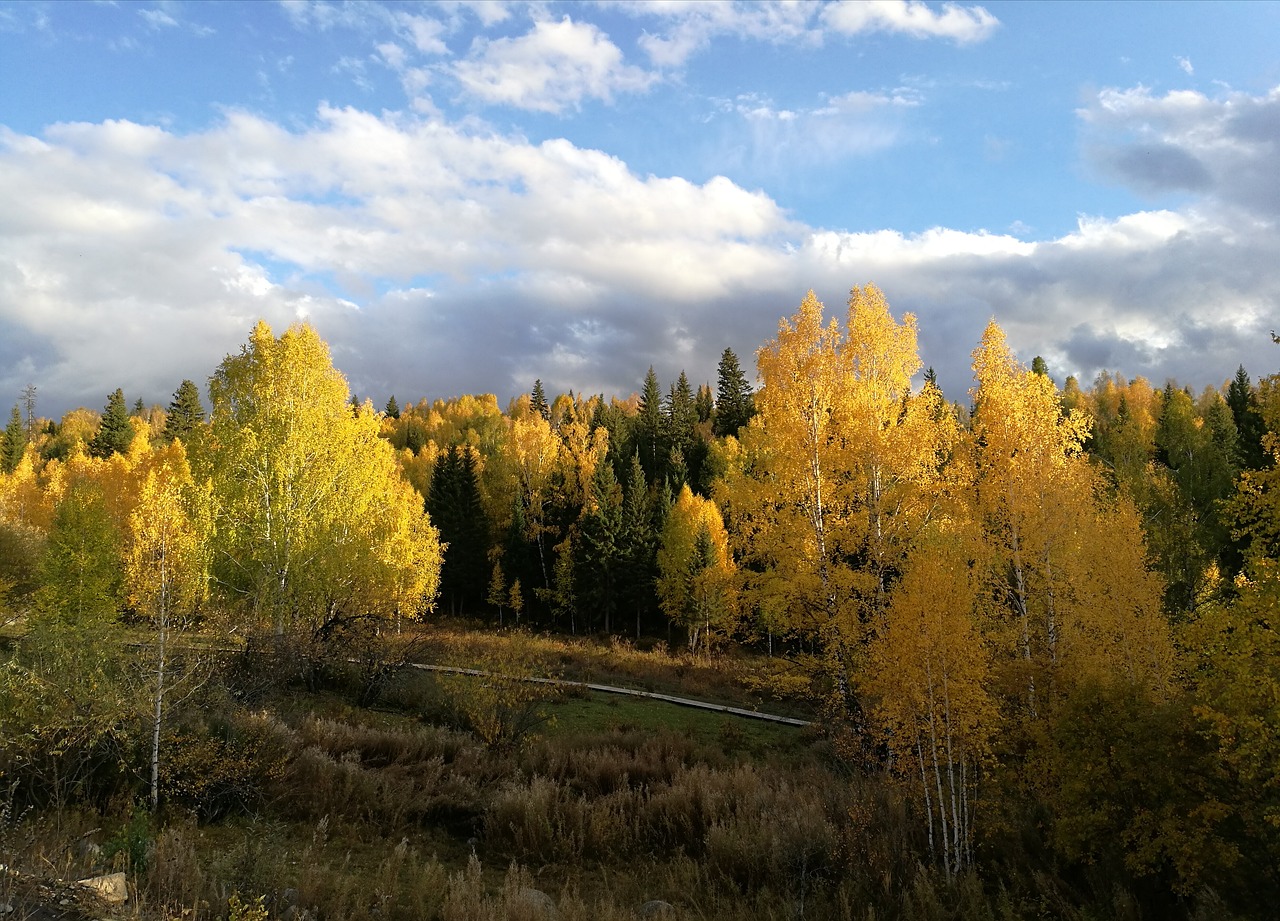 xinjiang  china  landscape free photo