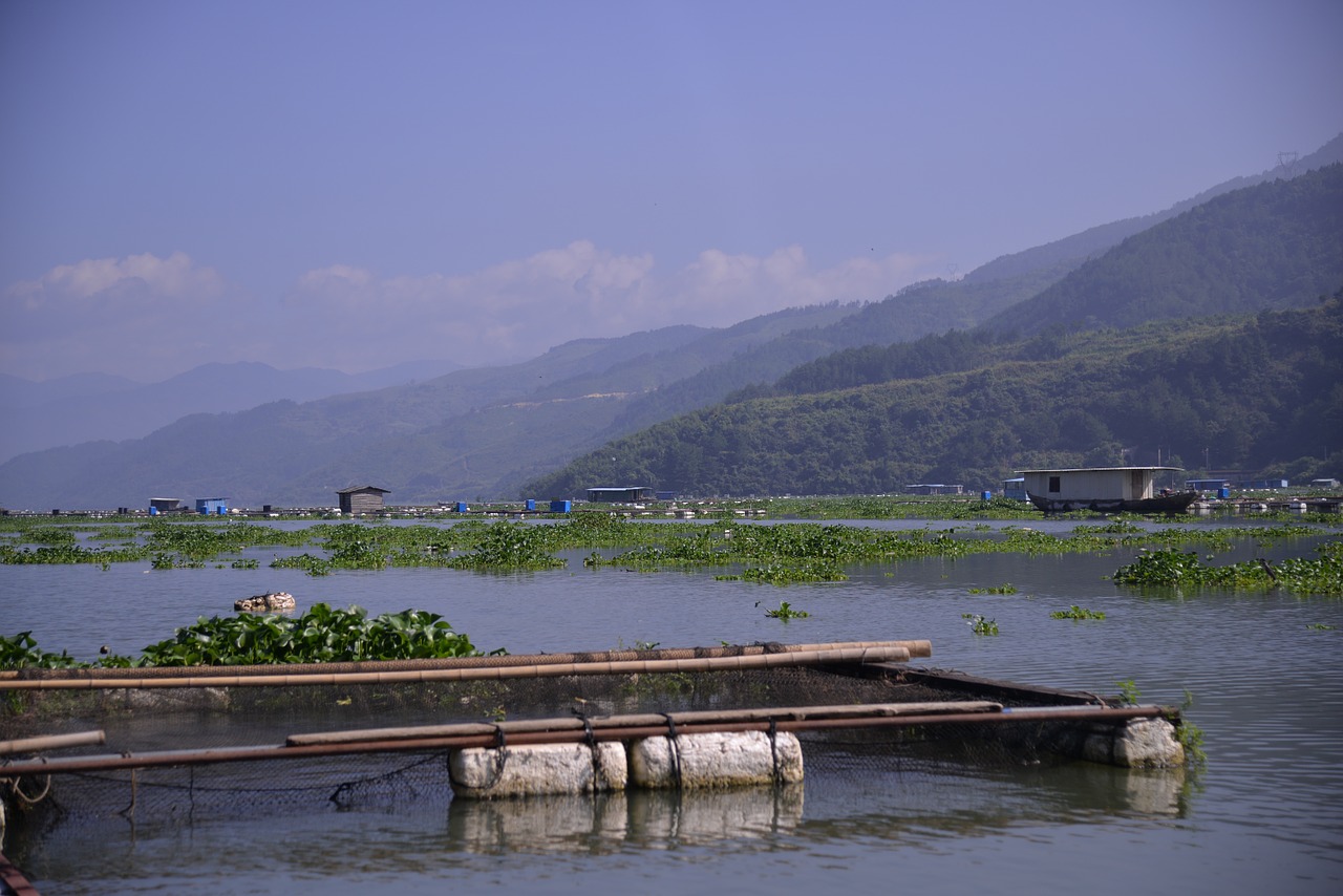 xiong jiang views full frame camera free photo