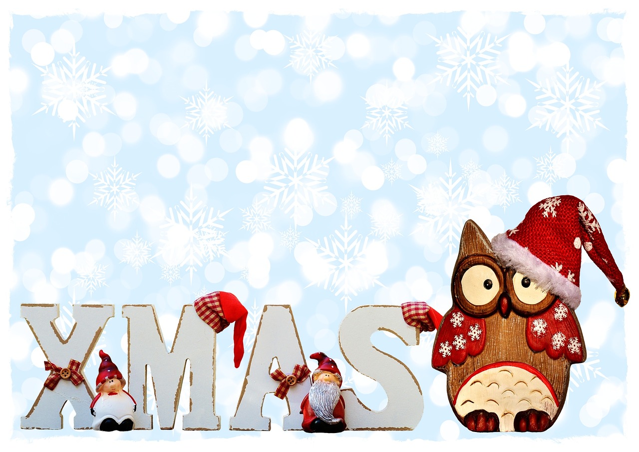 xmas typography owl free photo