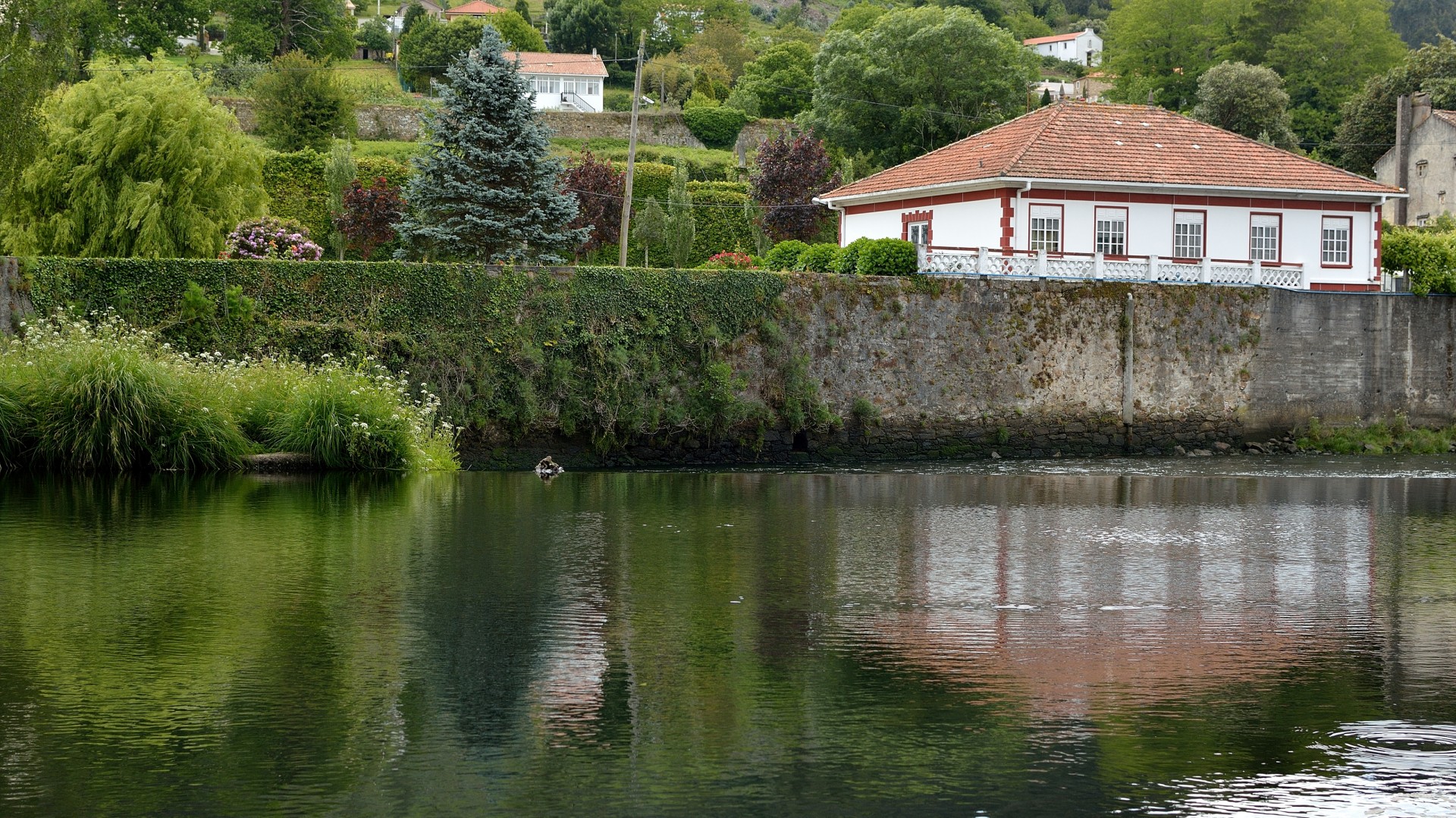 river naron galicia free photo