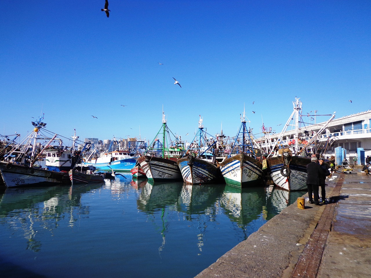 yacht port boats free photo