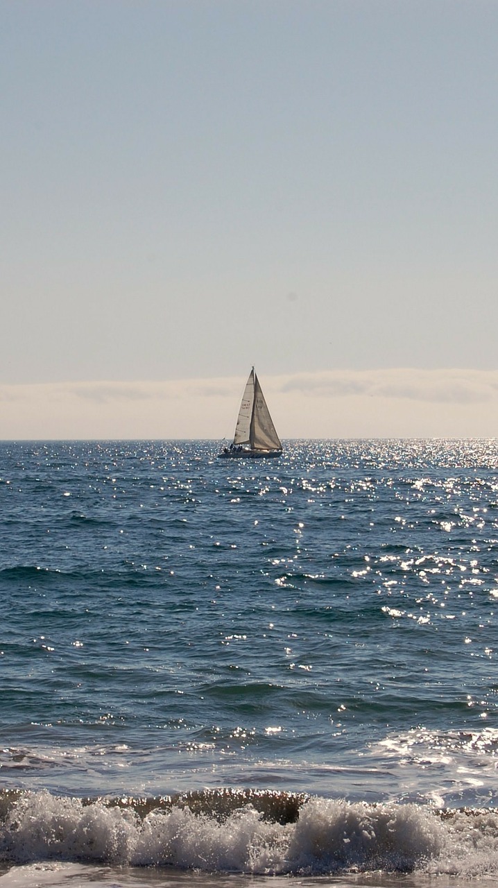 yacht sail sailing free photo