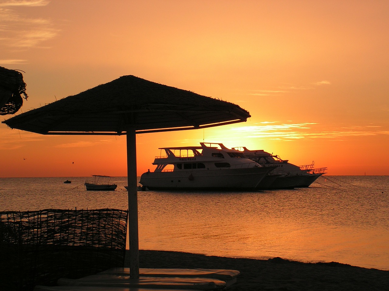 yacht egypt red sea free photo