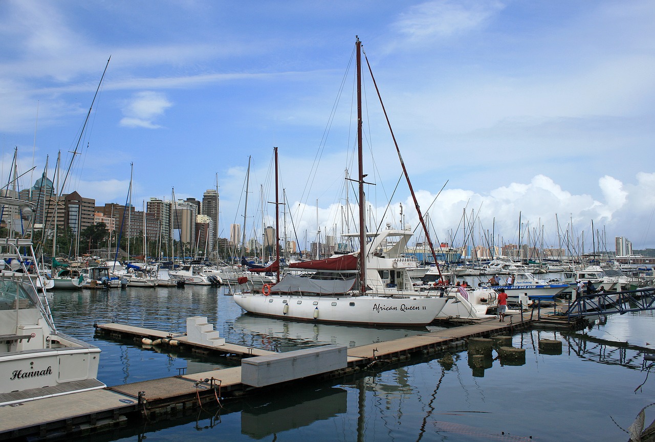 yacht club yachts masts free photo