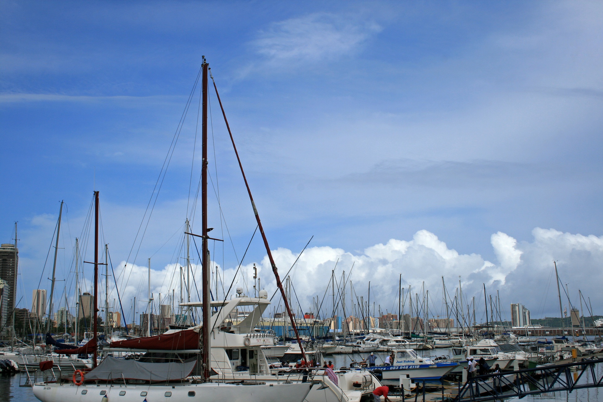harbour yacht club yachts free photo
