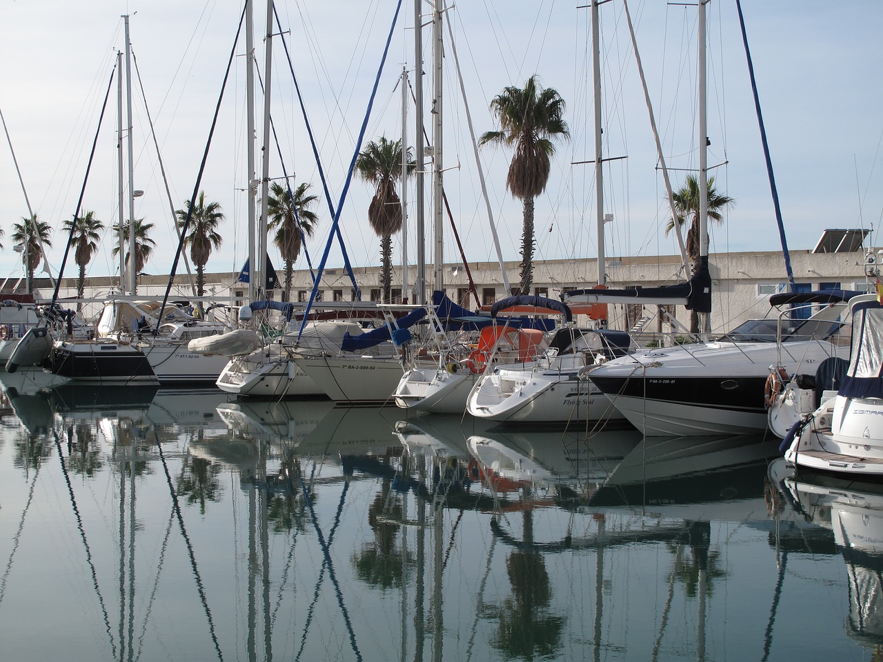 yachts bay boats free photo