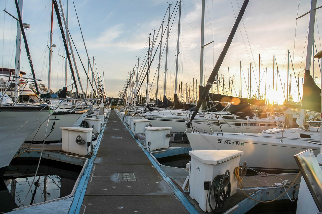 yachts sail sea free photo