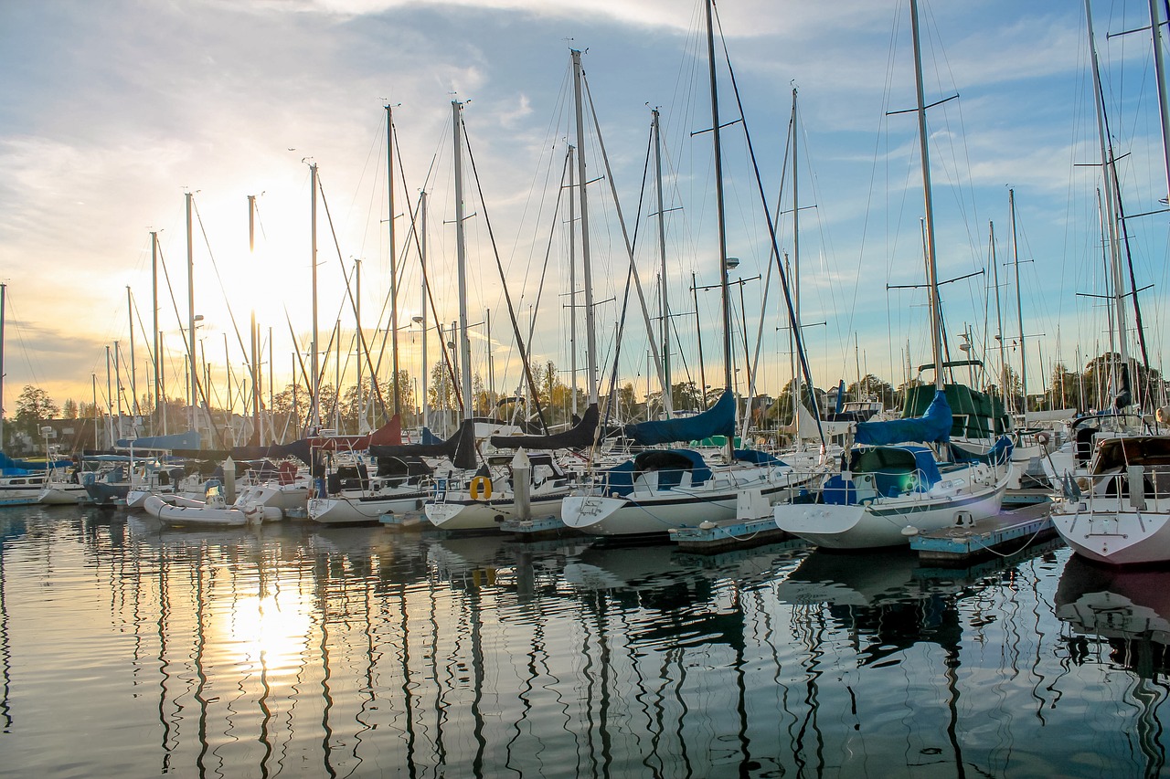 yachts sail sea free photo