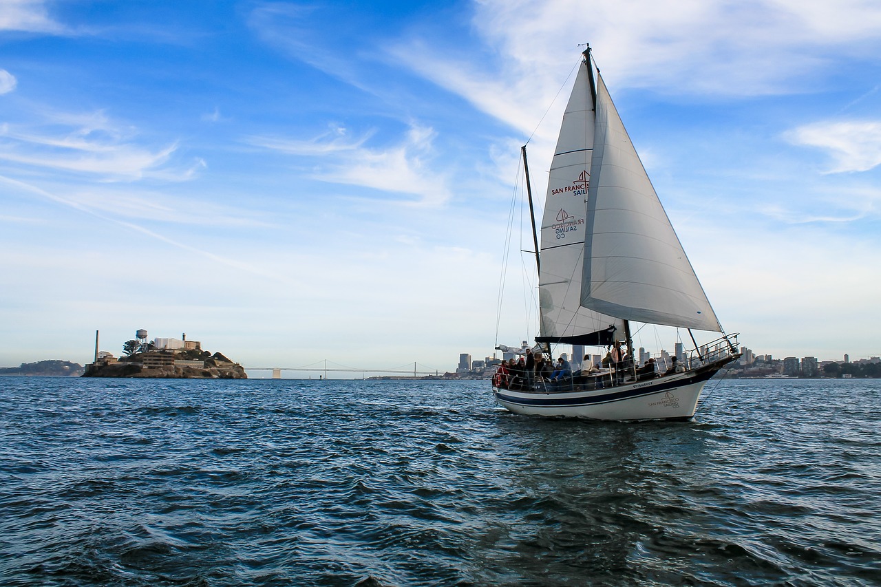 yachts sail sea free photo