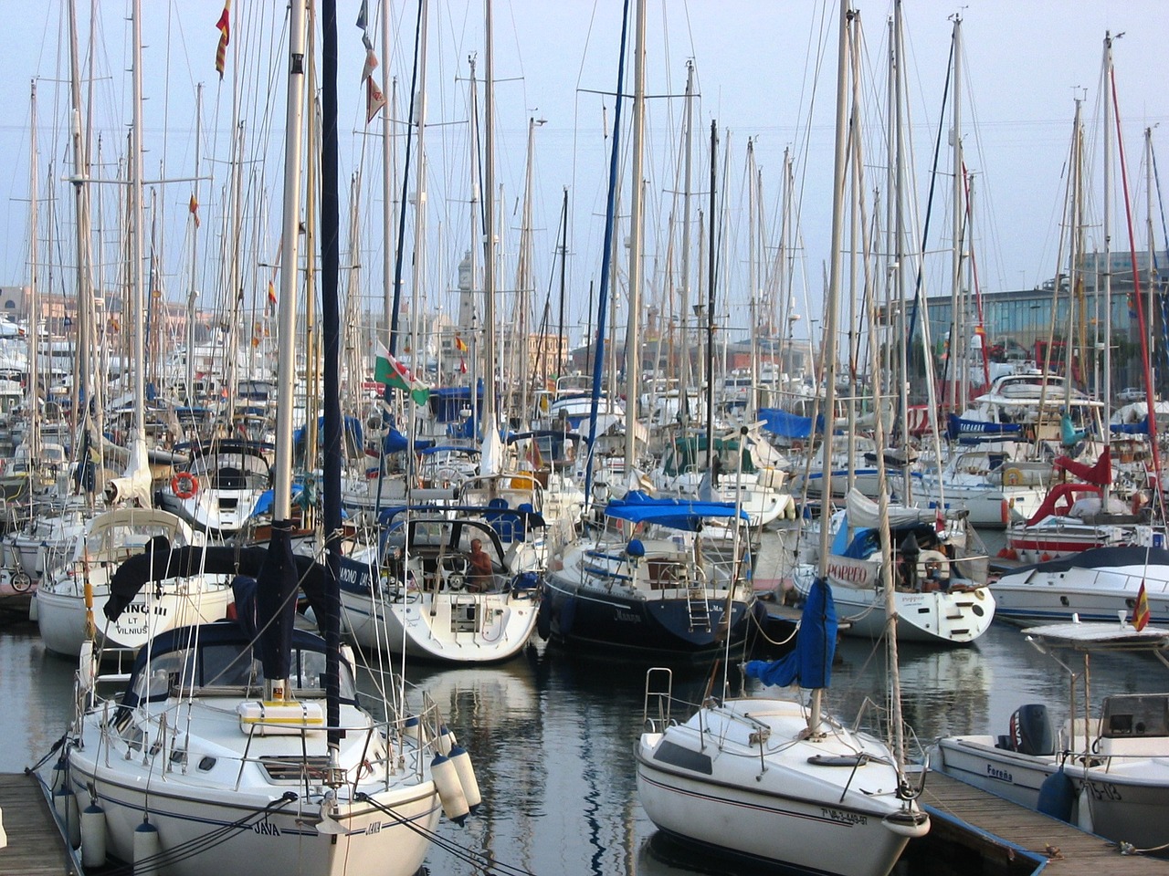 yachts marina masts free photo