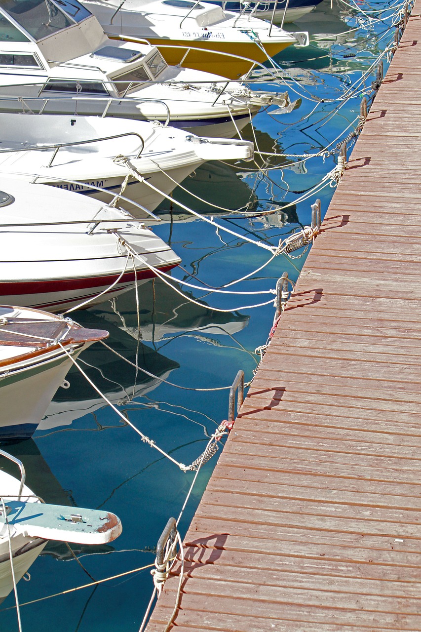 yachts boats sea free photo