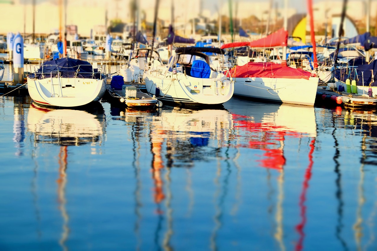 yachts  harbor  sunset free photo