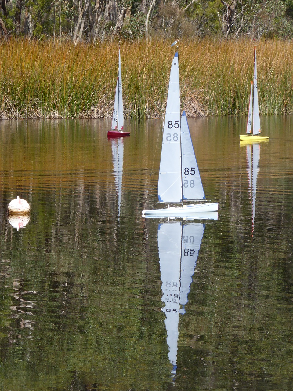 yachts water toys free photo