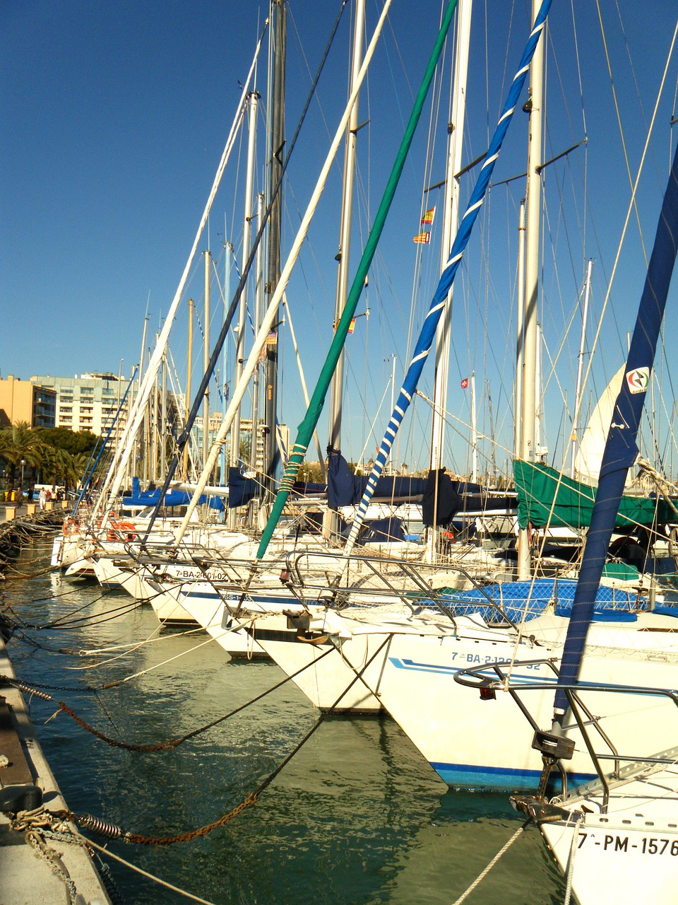 yachts sea majorca free photo