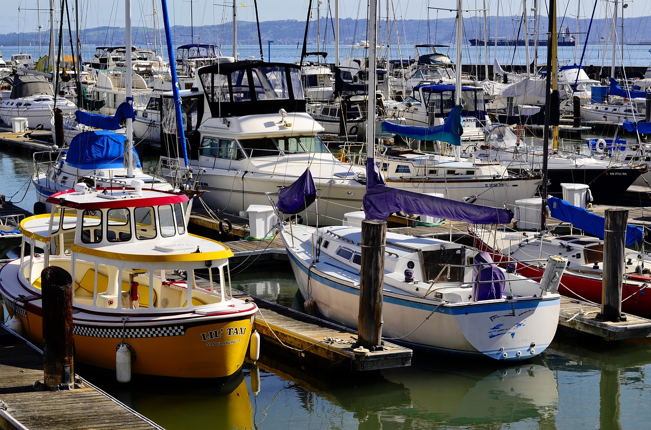 yachts boats marina free photo