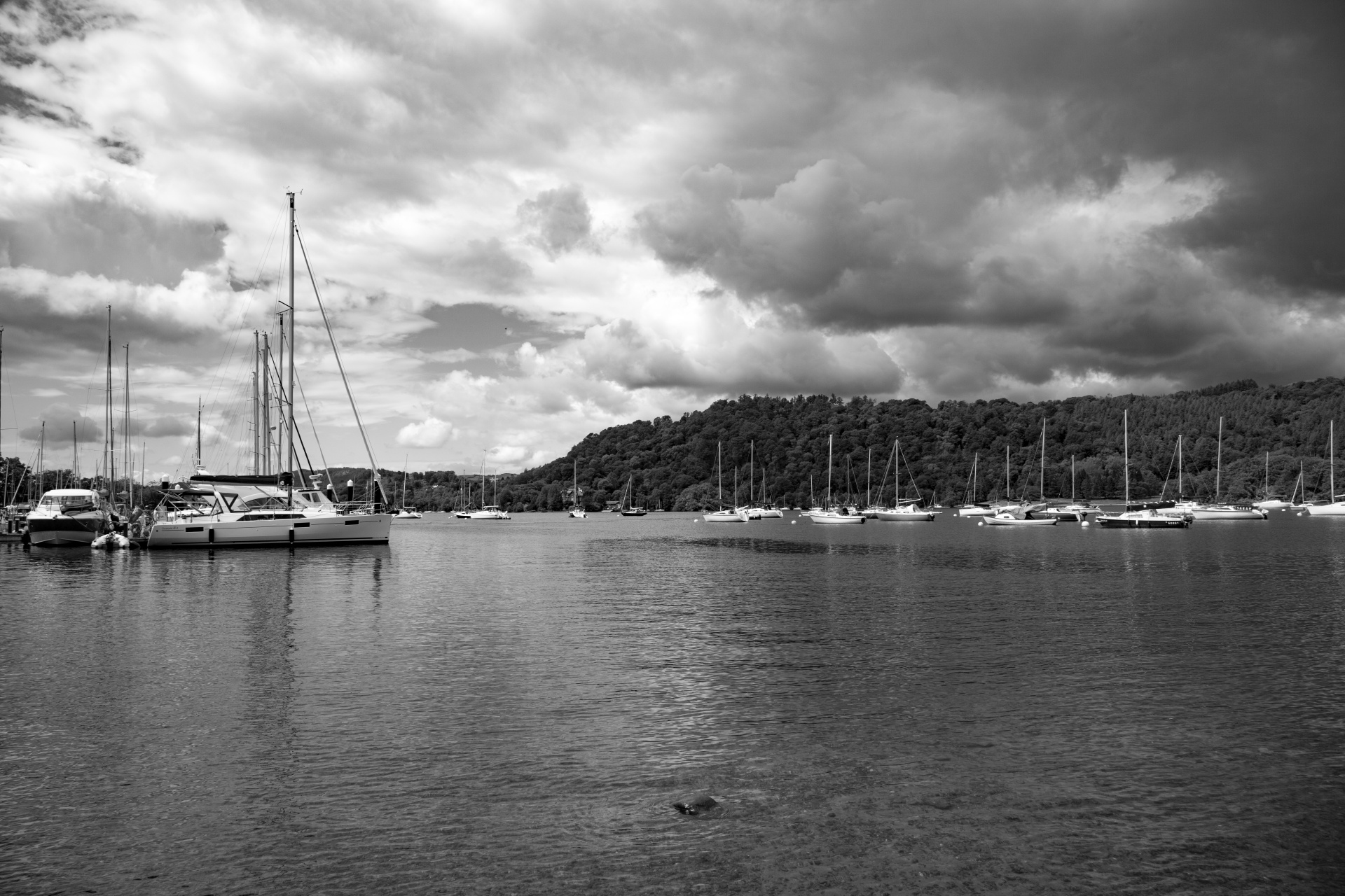 download-free-photo-of-marina-boat-sail-dock-sailboat-from-needpix